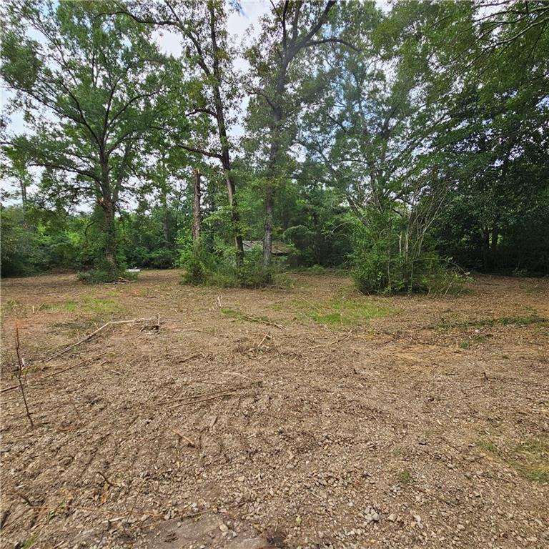 Lot B - Vining Road, Amite, LA 70422