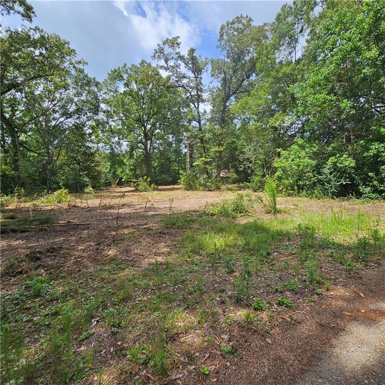 Lot B - Vining Road, Amite, LA 70422