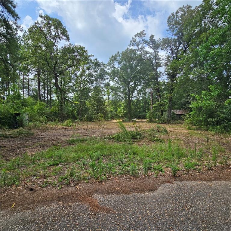 Lot B - Vining Road, Amite, LA 70422