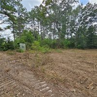 Lot B - Vining Road, Amite, LA 70422