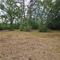 Lot B - Vining Road, Amite, LA 70422