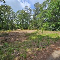 Lot B - Vining Road, Amite, LA 70422