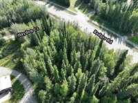 2020 Haydon Court, North Pole, AK 99705