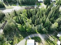 2020 Haydon Court, North Pole, AK 99705
