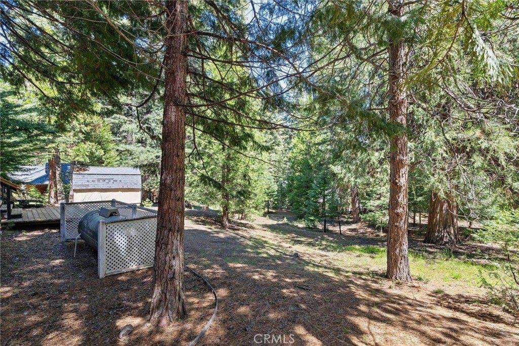 910 Clifford Drive, Almanor, CA 96137