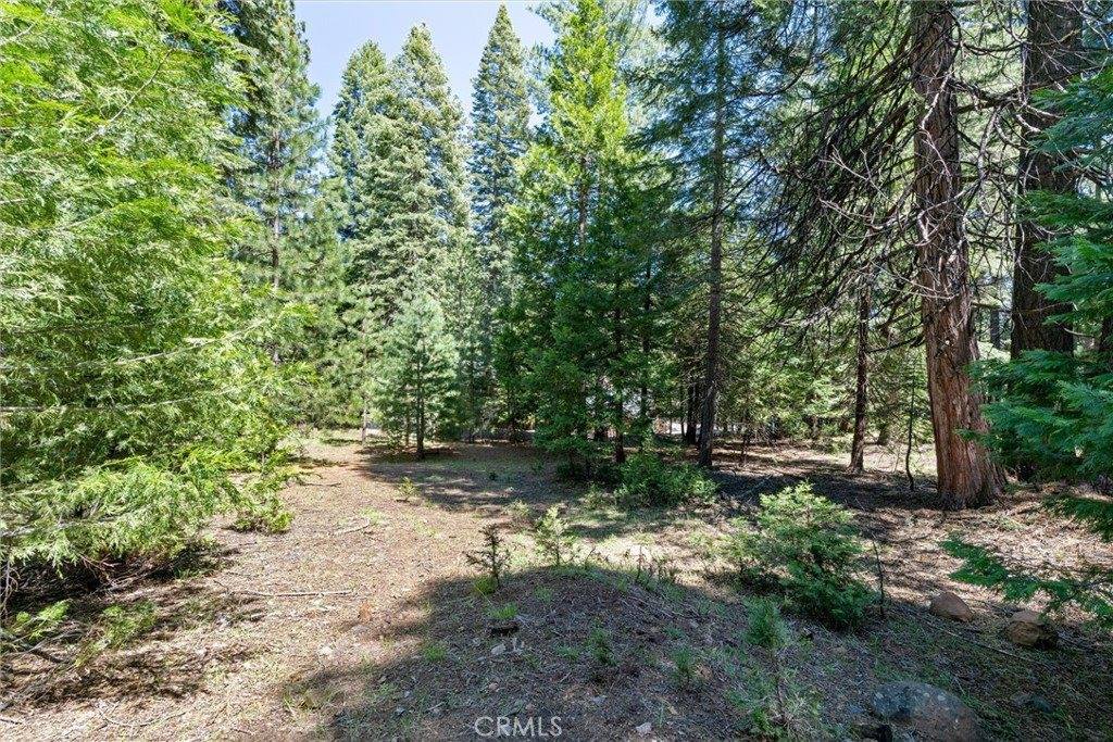 910 Clifford Drive, Almanor, CA 96137