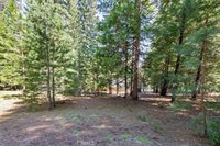 910 Clifford Drive, Almanor, CA 96137