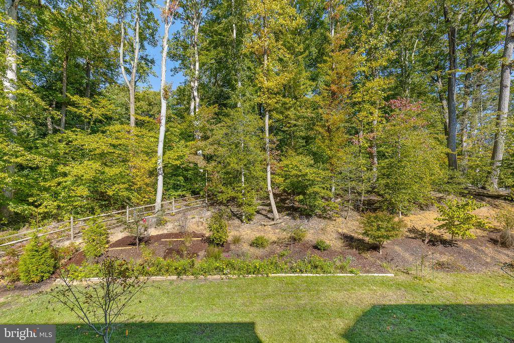 17703 White Campion Way, Dumfries, VA 22026