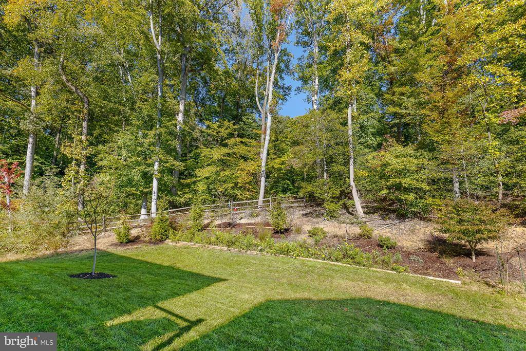 17703 White Campion Way, Dumfries, VA 22026