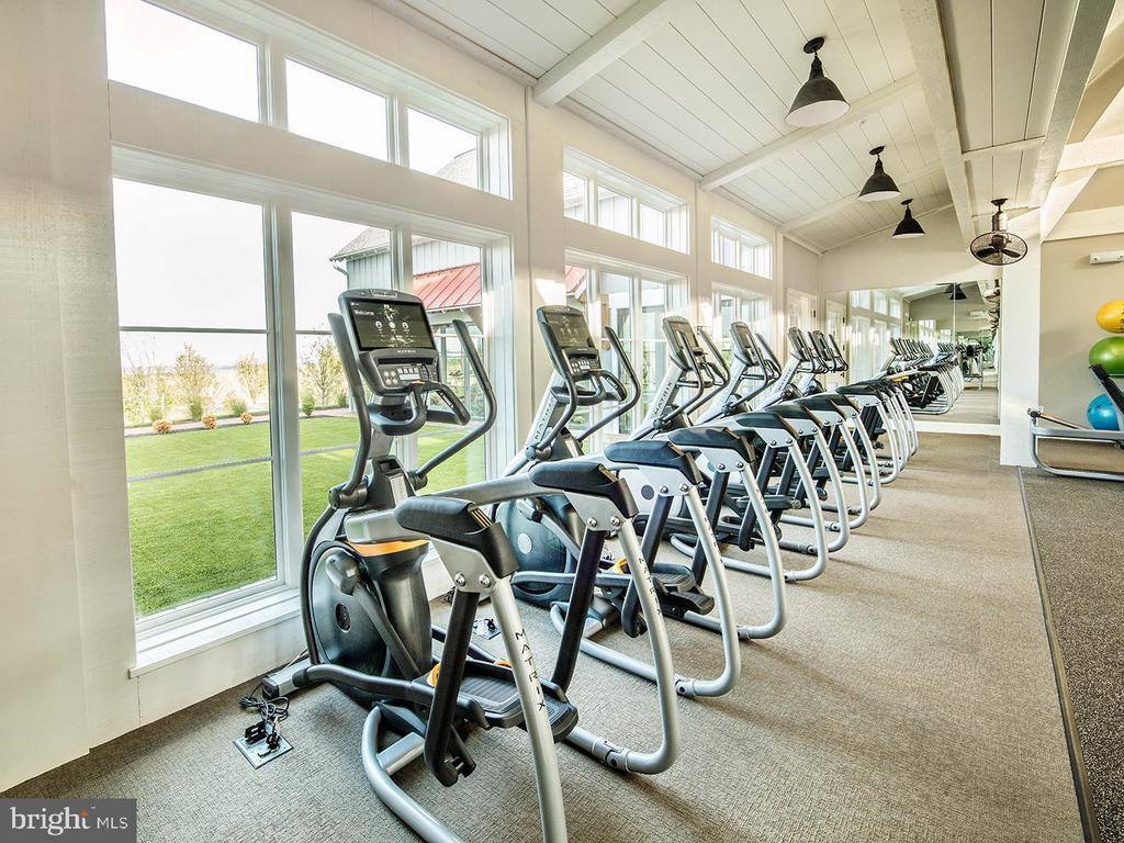 17703 White Campion Way, Dumfries, VA 22026