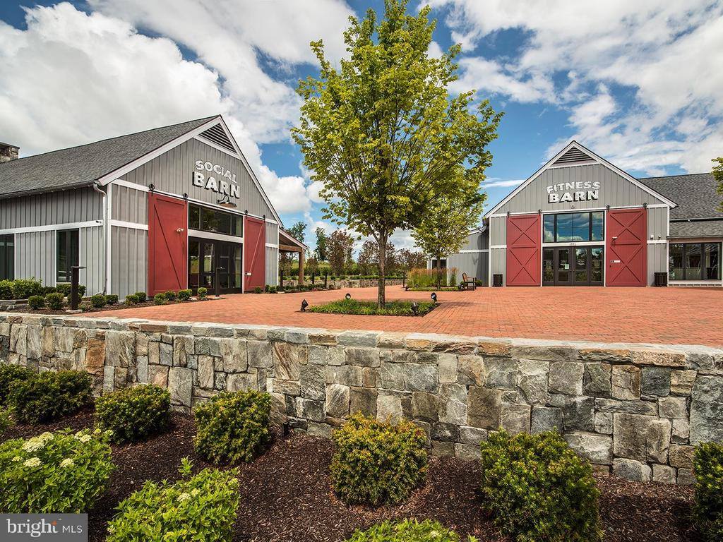 17703 White Campion Way, Dumfries, VA 22026