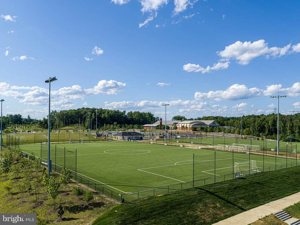 17703 White Campion Way, Dumfries, VA 22026