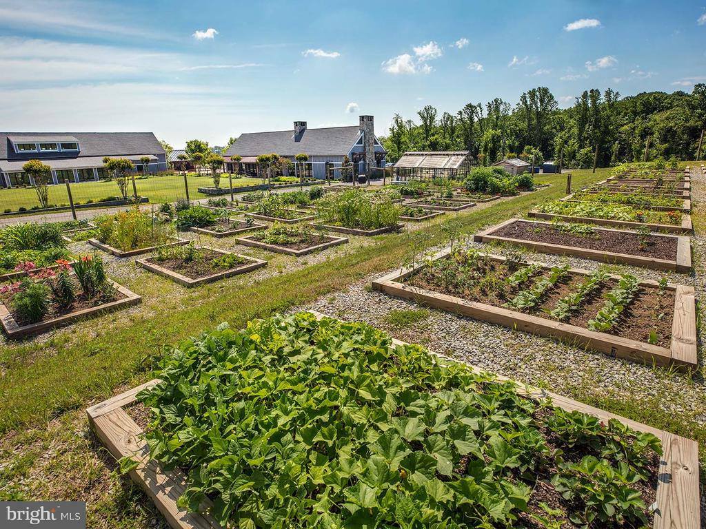 17703 White Campion Way, Dumfries, VA 22026