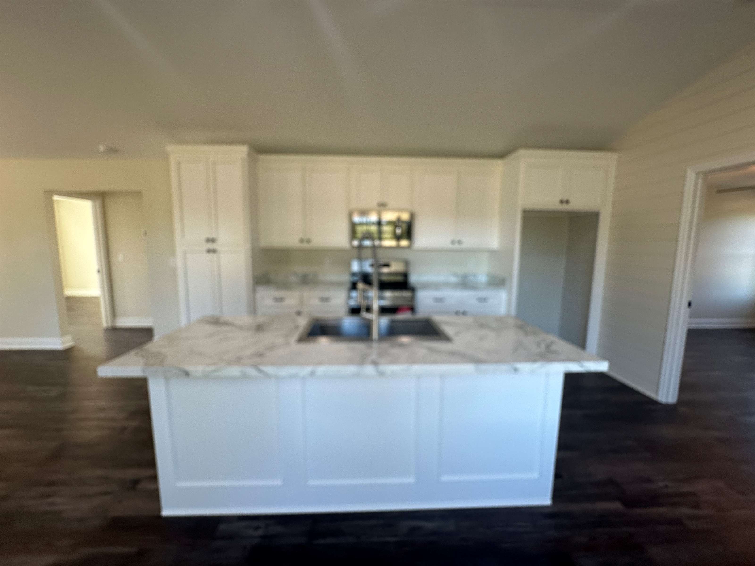 250 Pan Creek Rd, Baileyton, AL 35019