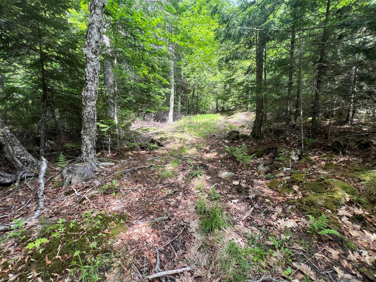 TBD Marks Mountain Way, Dedham, ME 04429