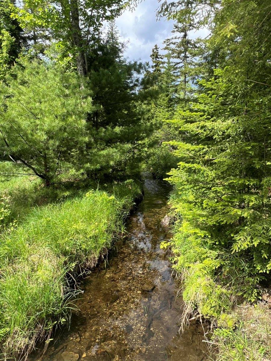 TBD Marks Mountain Way, Dedham, ME 04429