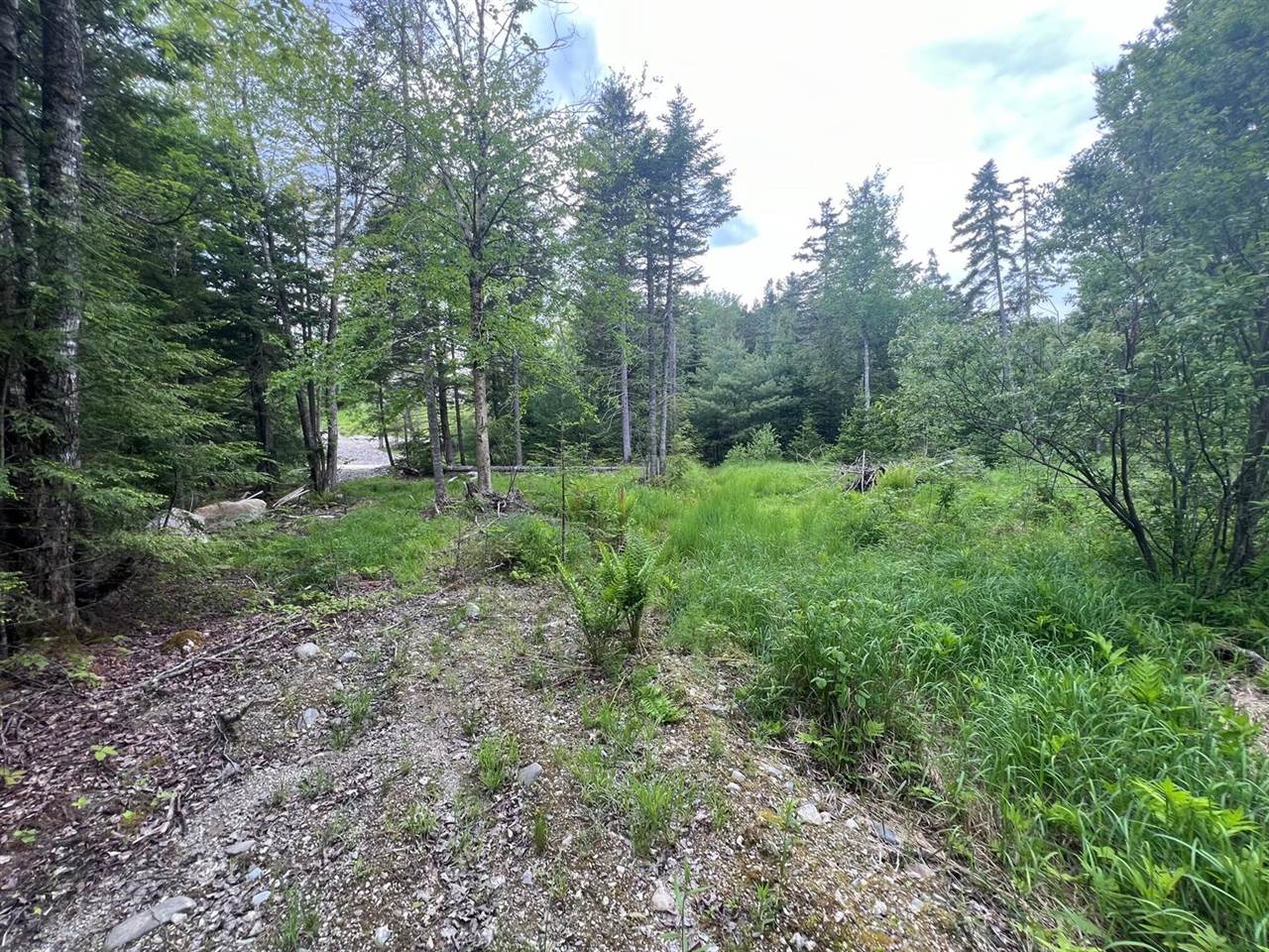 TBD Marks Mountain Way, Dedham, ME 04429