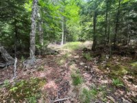 TBD Marks Mountain Way, Dedham, ME 04429