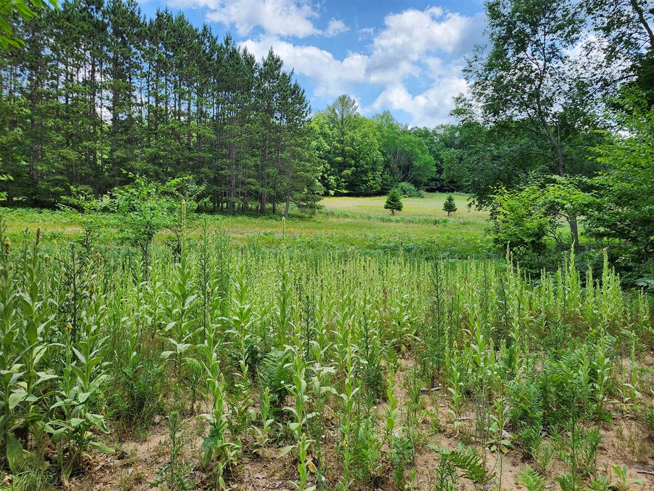 6389 South Woods Trail Road, #143, Custer, MI 49405