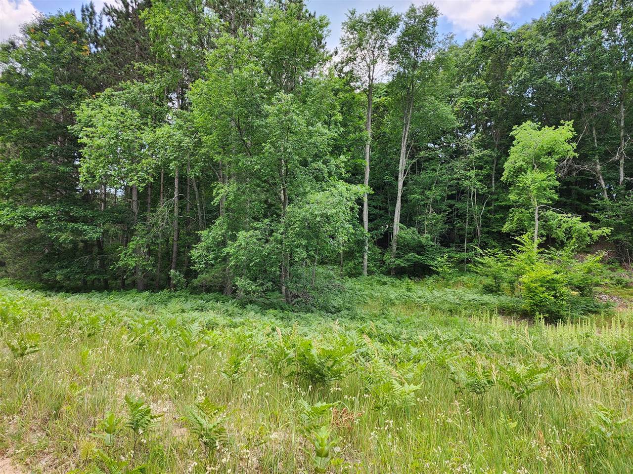 6389 South Woods Trail Road, #143, Custer, MI 49405