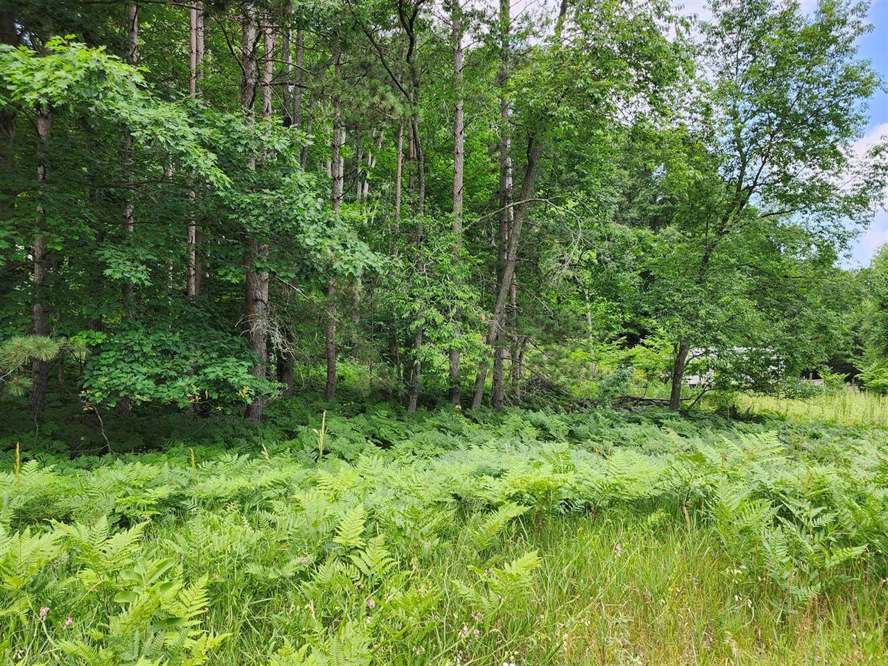 6389 South Woods Trail Road, #143, Custer, MI 49405