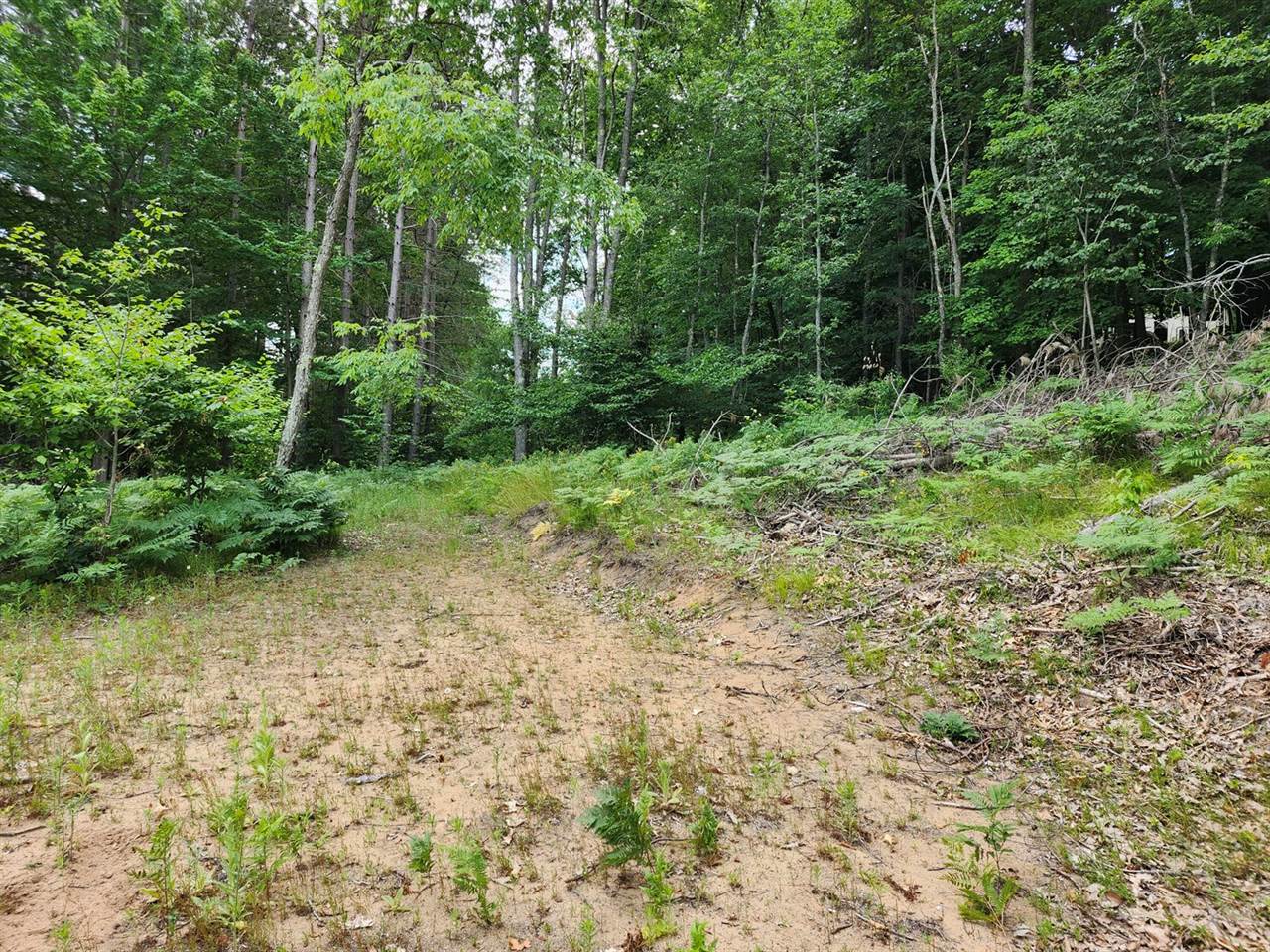 6389 South Woods Trail Road, #143, Custer, MI 49405