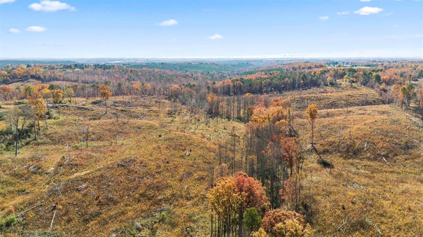 40 AC #1 Co Rd 1067, Vinemont, AL 35179