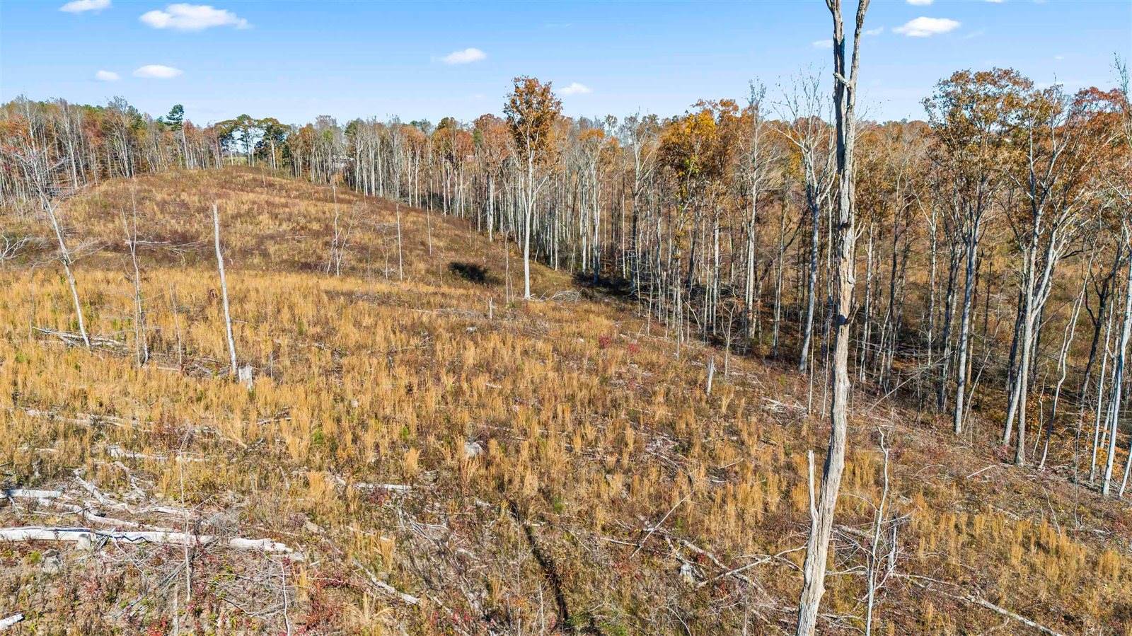 40 AC #1 Co Rd 1067, Vinemont, AL 35179