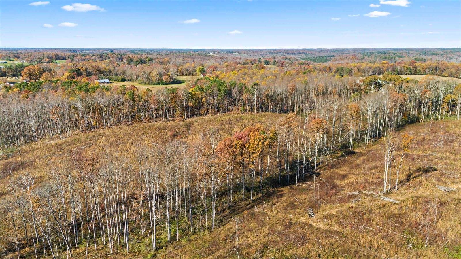 40 AC #1 Co Rd 1067, Vinemont, AL 35179