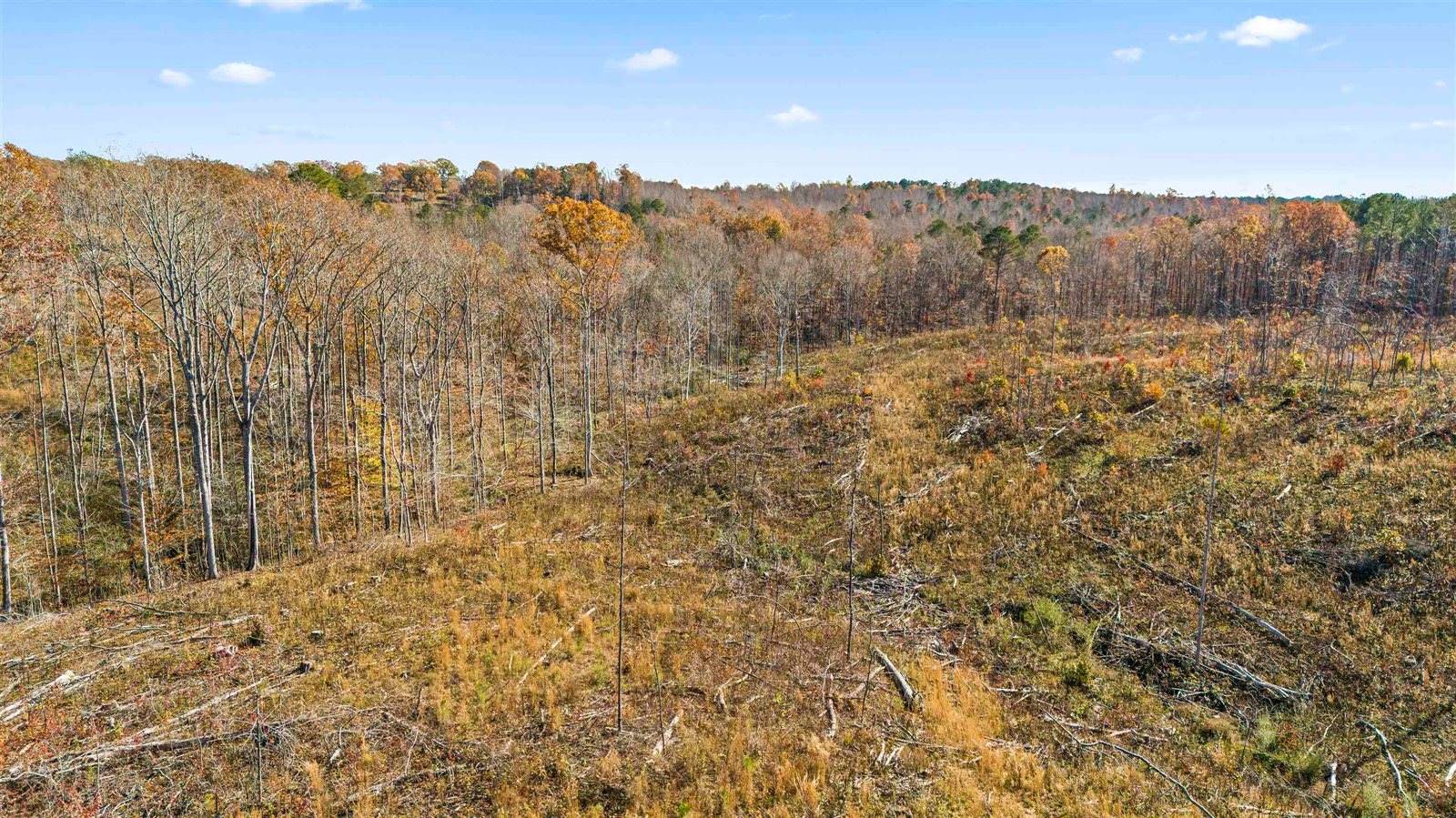 40 AC #2 Co Rd 1067, Vinemont, AL 35179