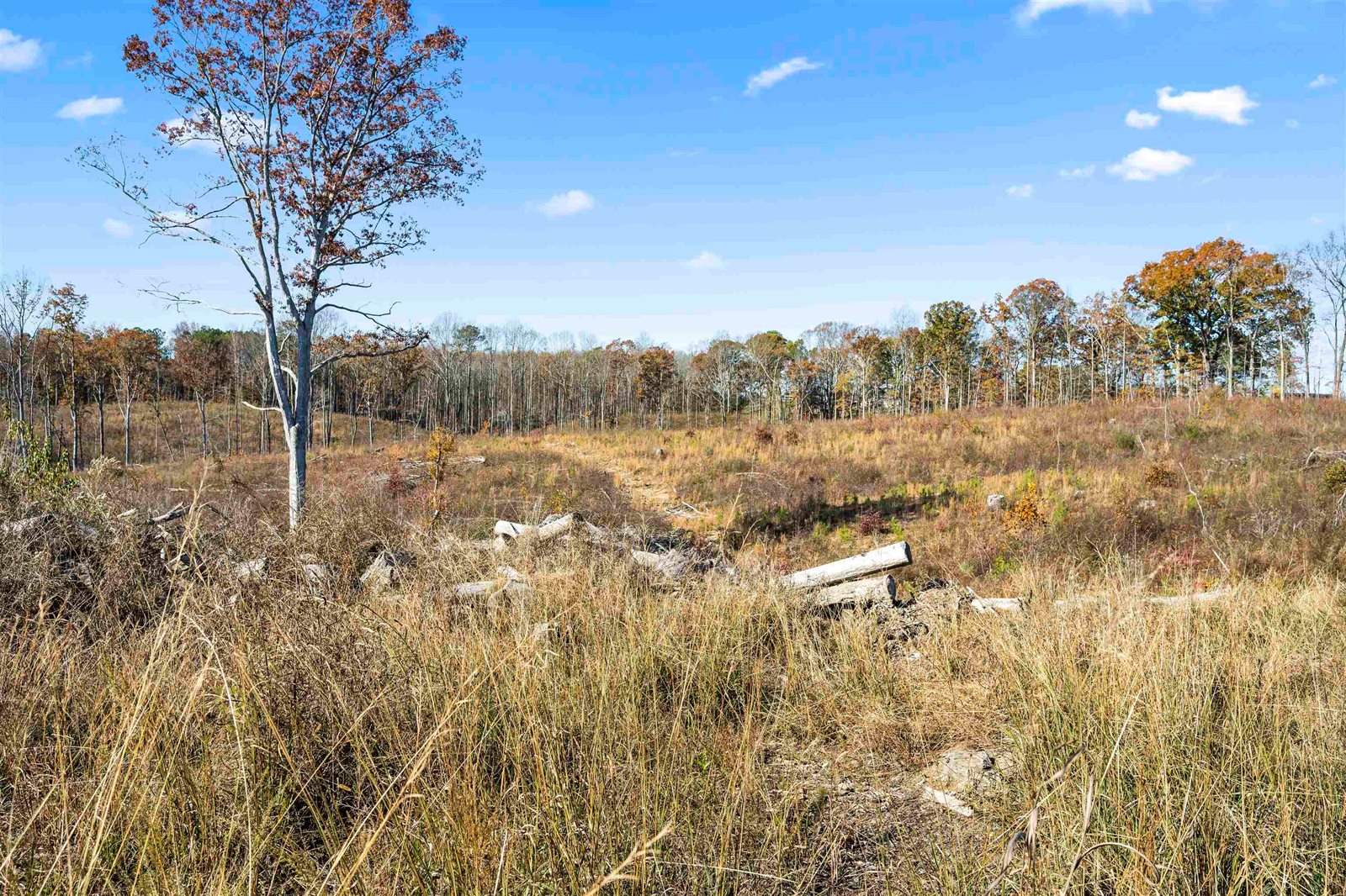 40 AC #2 Co Rd 1067, Vinemont, AL 35179