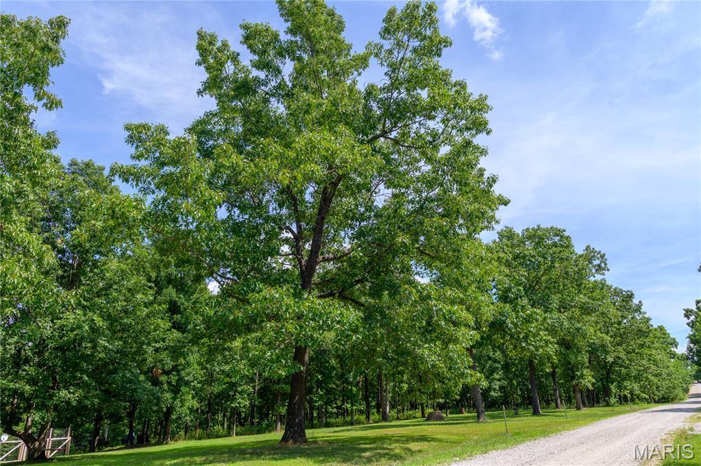 13974 Cherry Drive, Plato, MO 65552