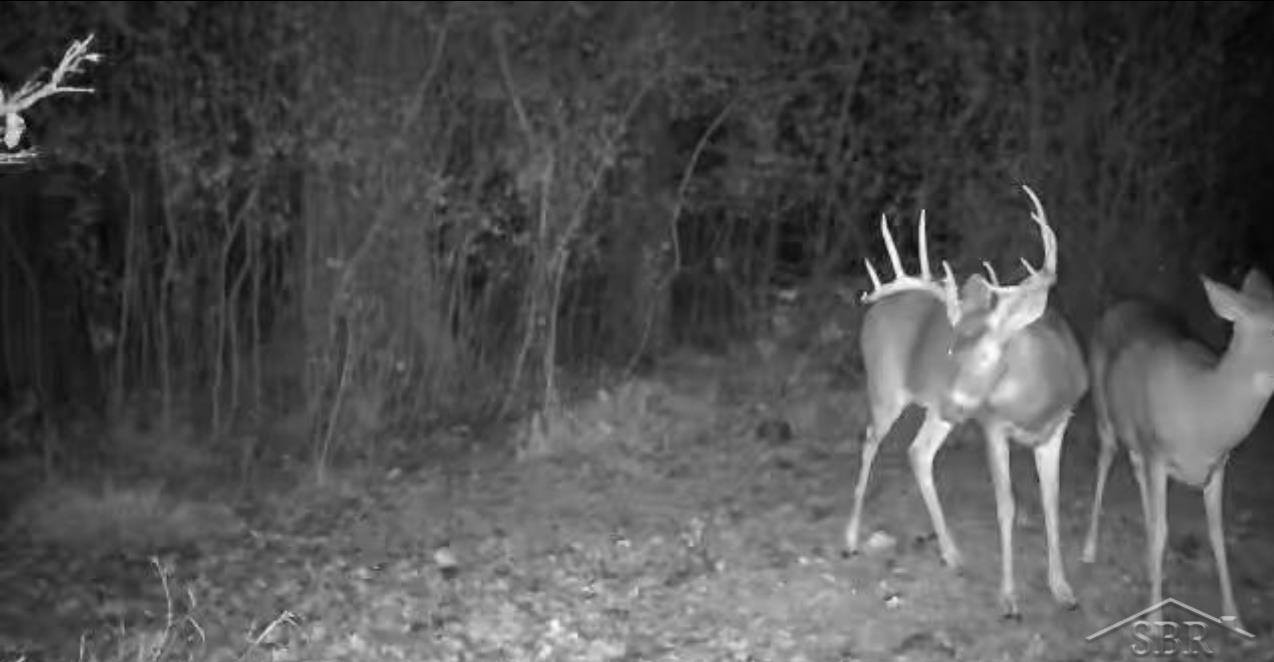 VL E Howard Road, Beaverton, MI 48612