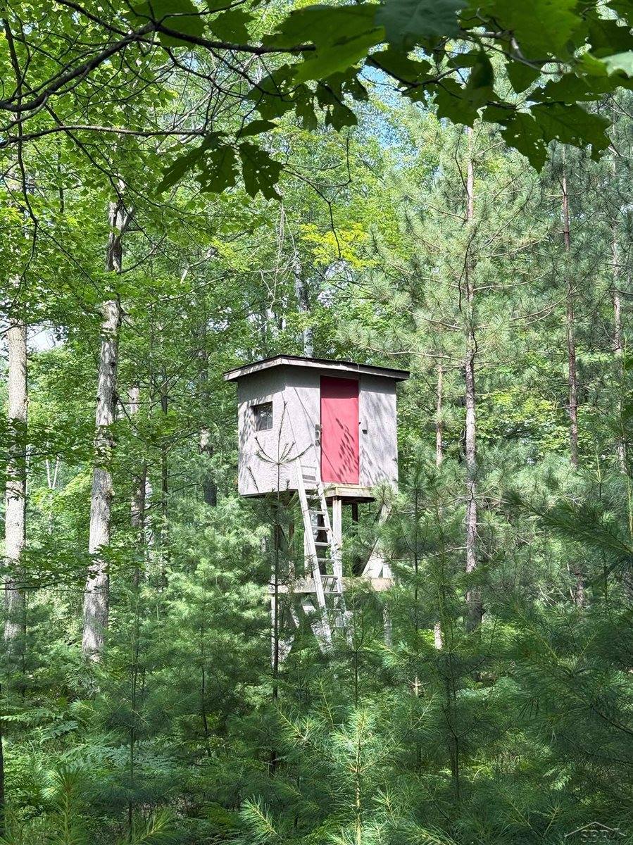 VL E Howard Road, Beaverton, MI 48612