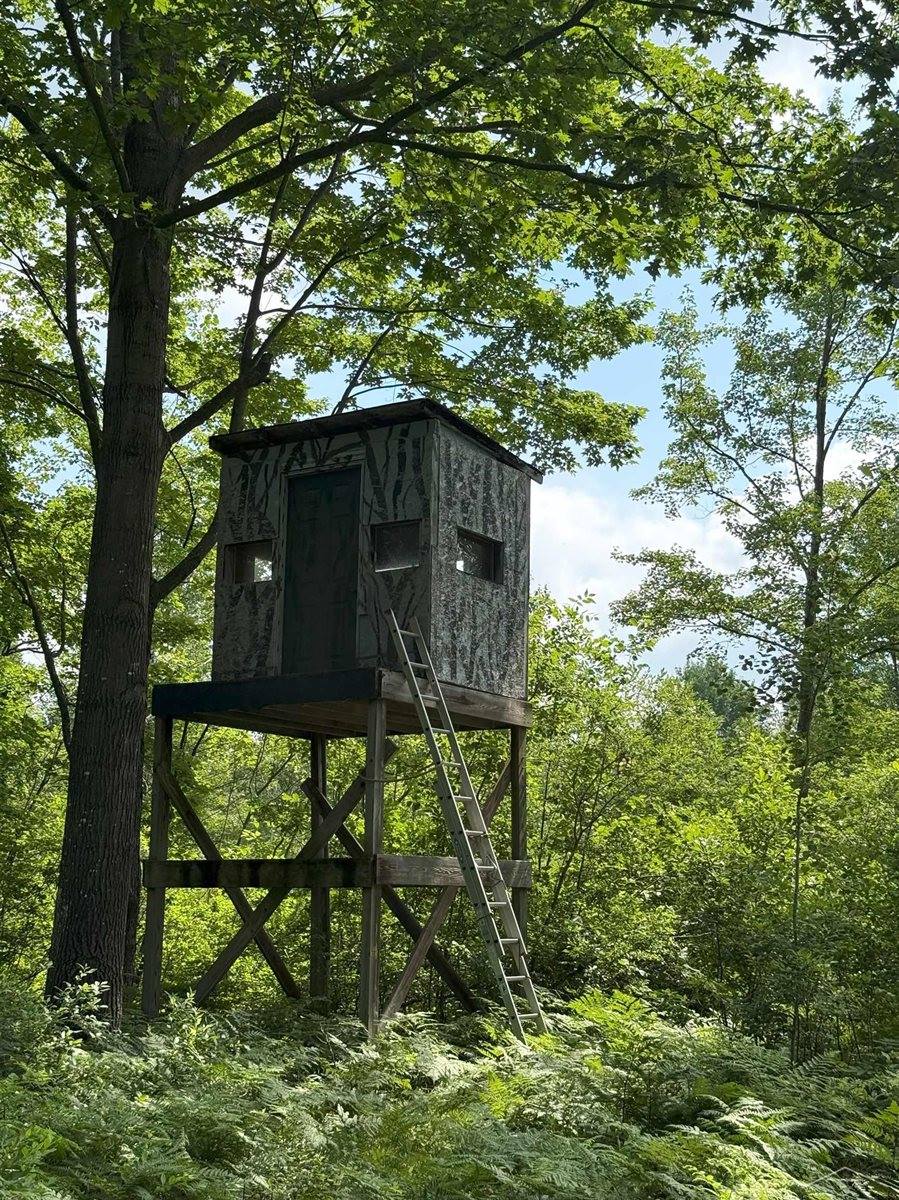 VL E Howard Road, Beaverton, MI 48612