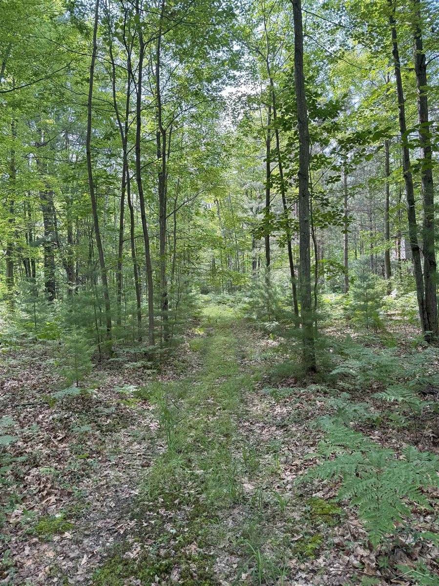 VL E Howard Road, Beaverton, MI 48612