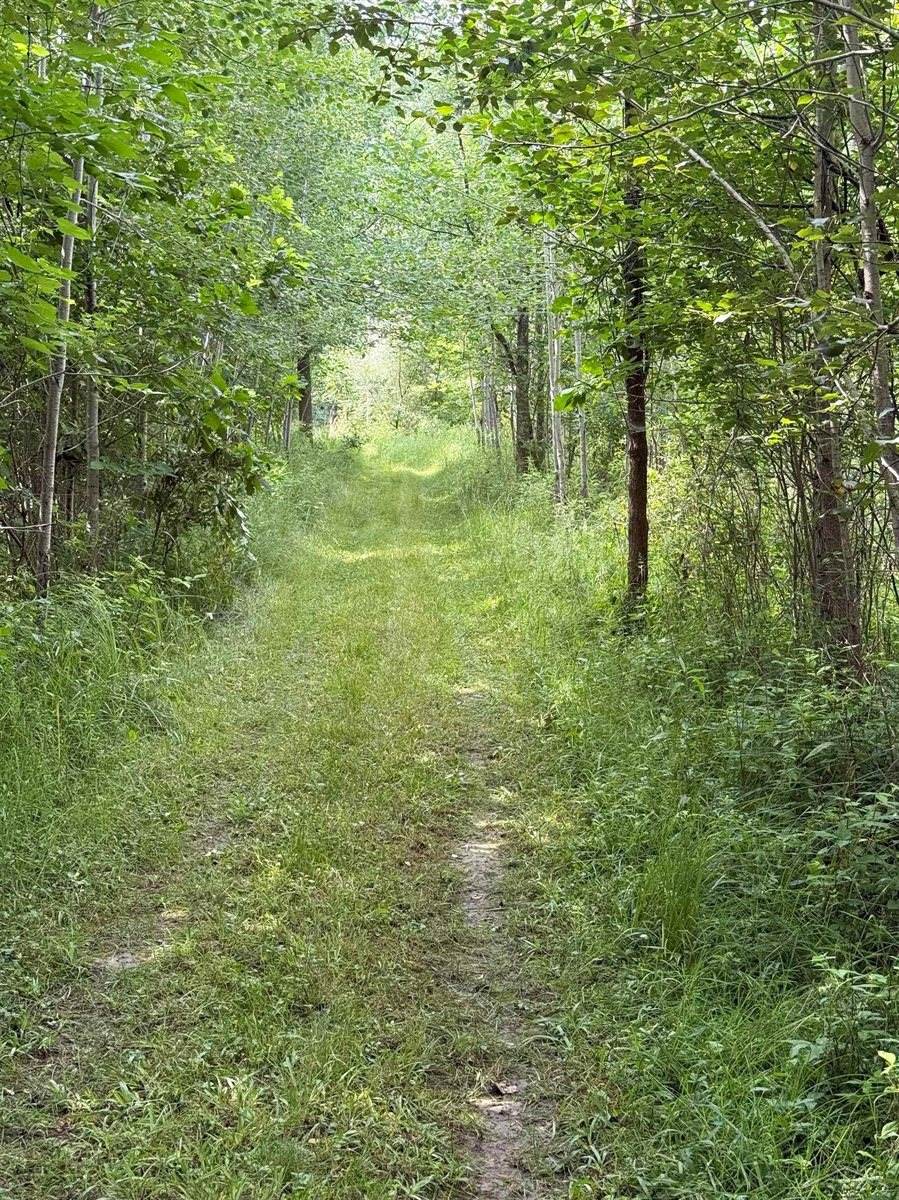 VL E Howard Road, Beaverton, MI 48612