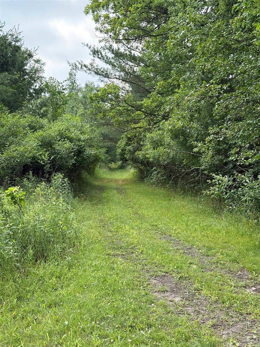 VL E Howard Road, Beaverton, MI 48612