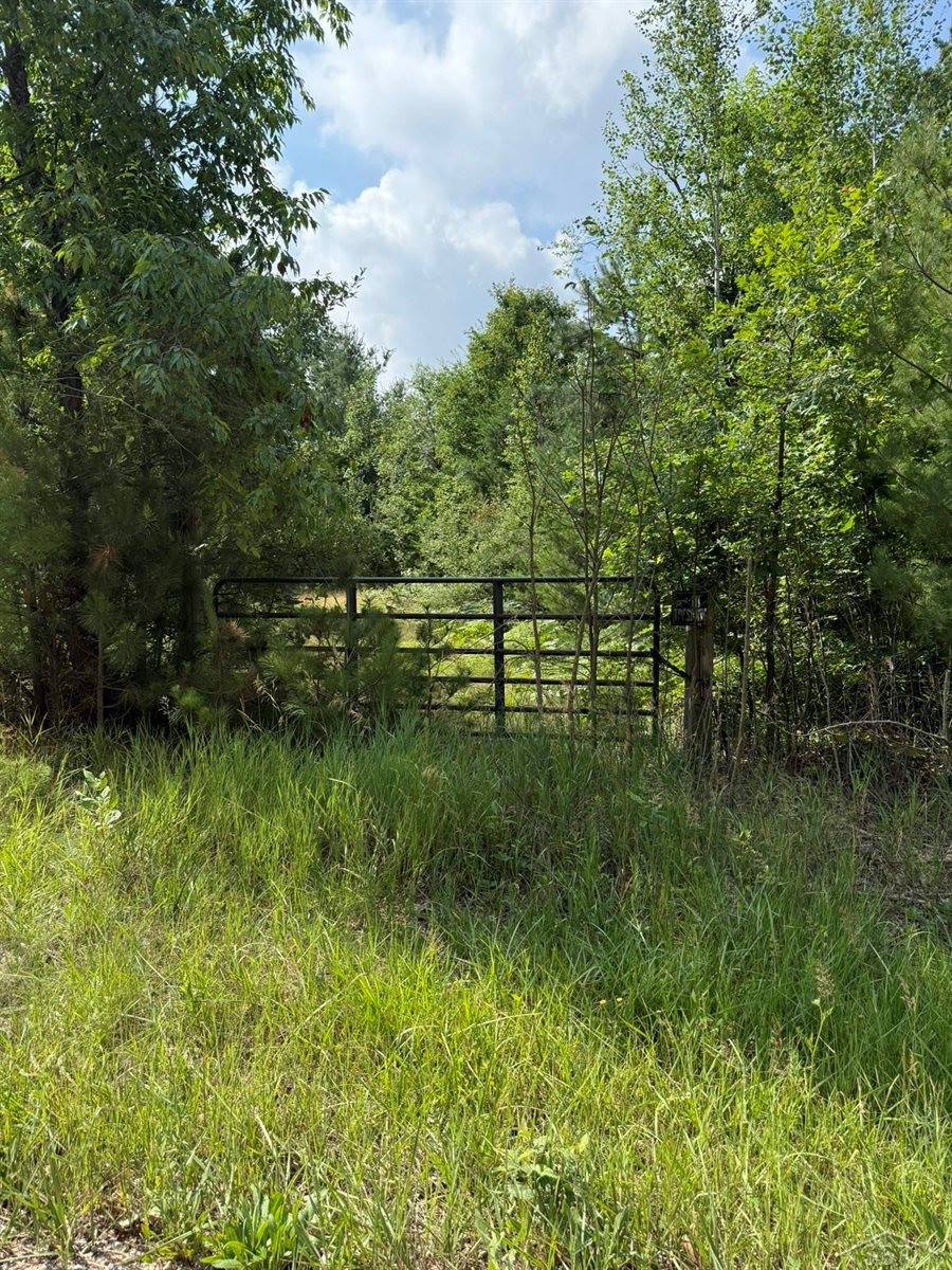 VL E Howard Road, Beaverton, MI 48612