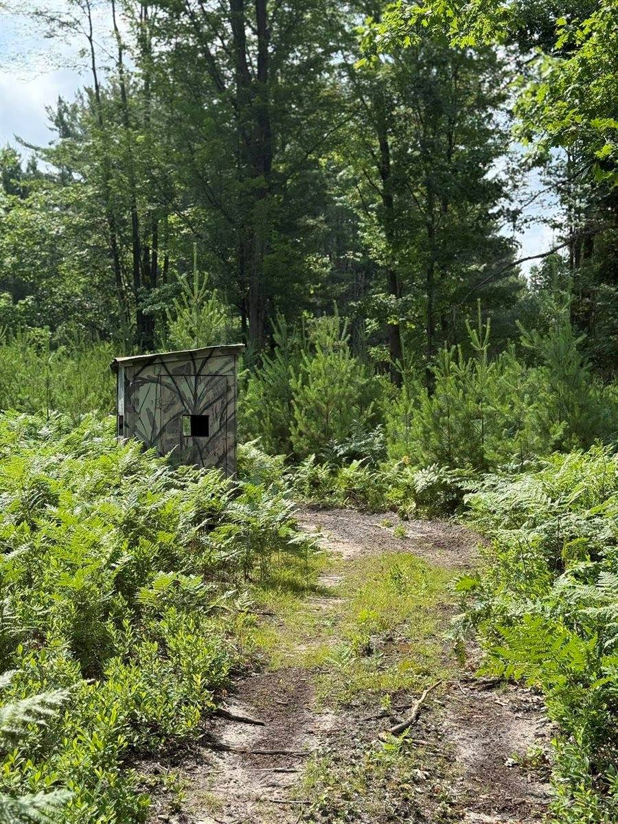 VL E Howard Road, Beaverton, MI 48612