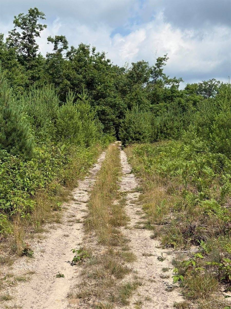 VL E Howard Road, Beaverton, MI 48612