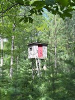 VL E Howard Road, Beaverton, MI 48612