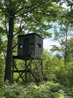 VL E Howard Road, Beaverton, MI 48612