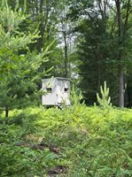 VL E Howard Road, Beaverton, MI 48612