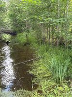 VL E Howard Road, Beaverton, MI 48612