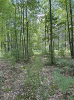 VL E Howard Road, Beaverton, MI 48612