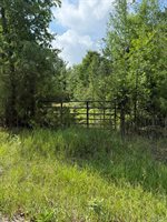 VL E Howard Road, Beaverton, MI 48612