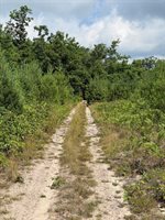 VL E Howard Road, Beaverton, MI 48612