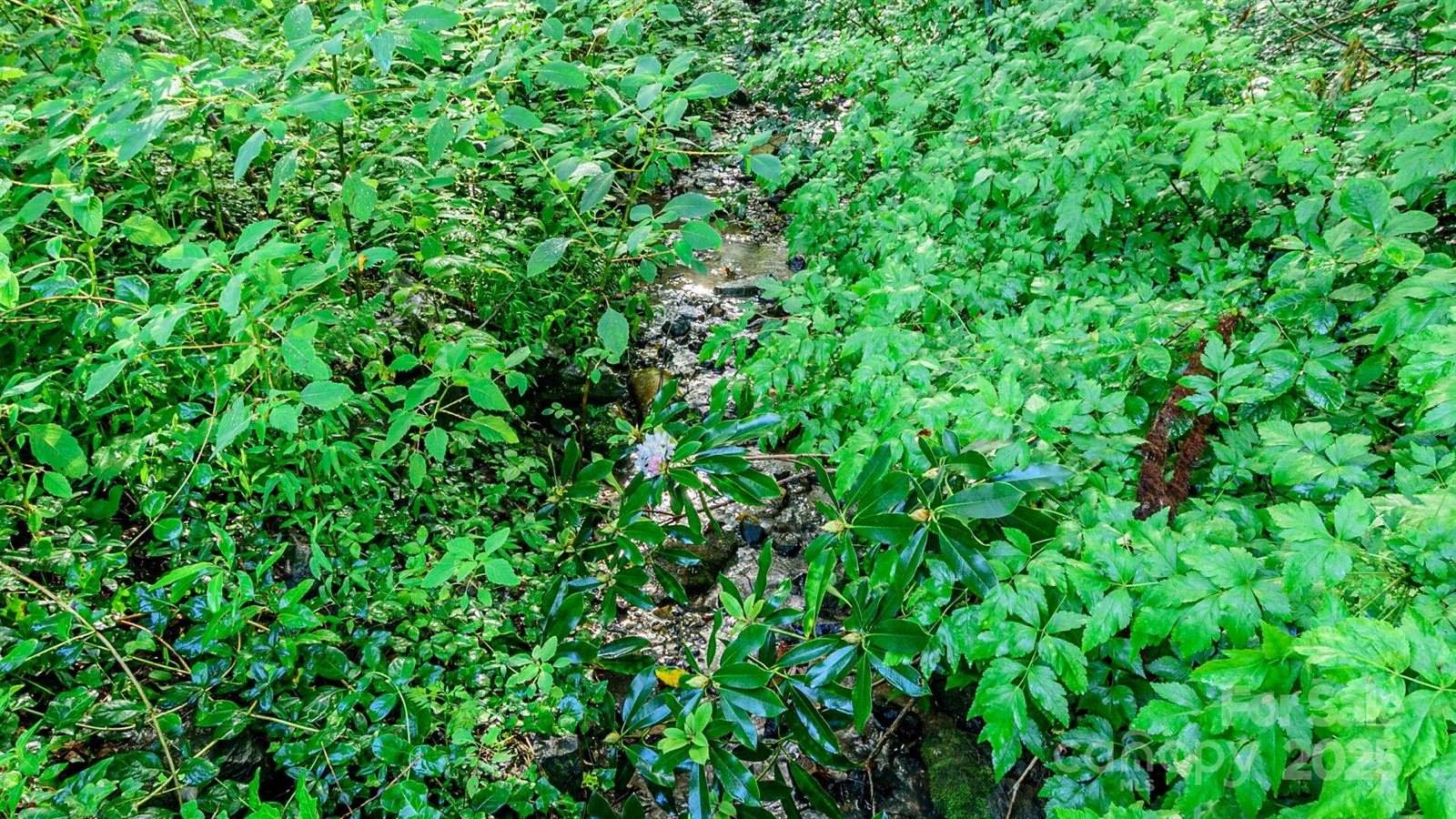 51 Bell Road, Asheville, NC 28805