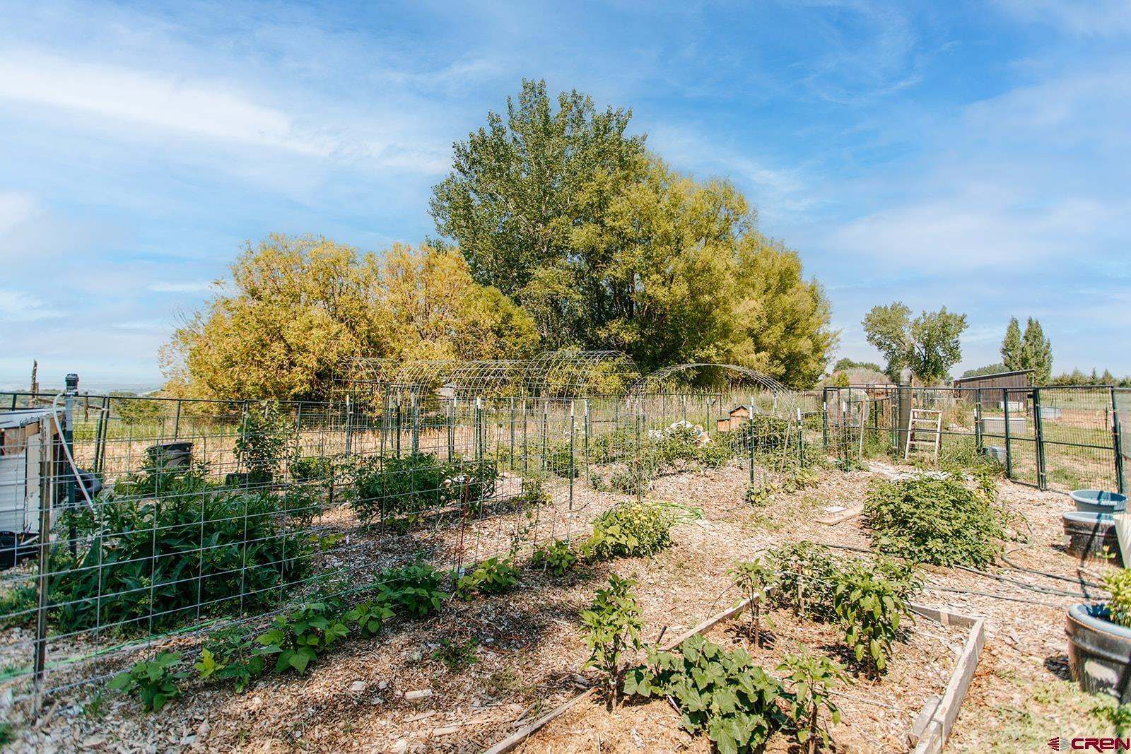 12817 6100 Road, Montrose, CO 81403